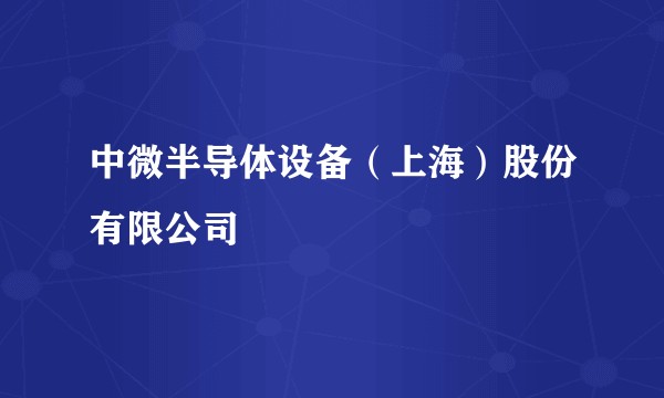 中微半导体设备（上海）股份有限公司