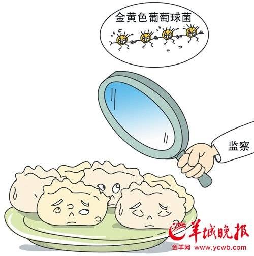 湾仔码头细菌门