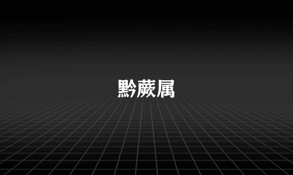 黔蕨属