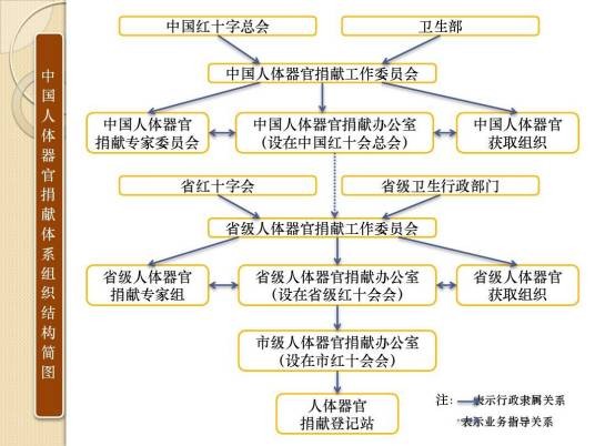 人体器官捐献体系