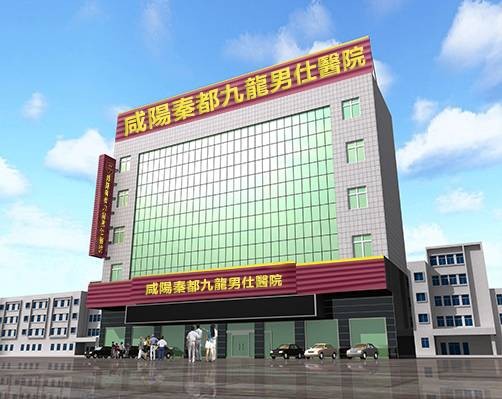 咸阳秦都九龙男仕医院