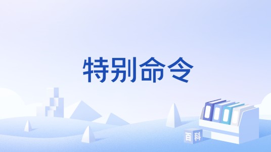 特别命令