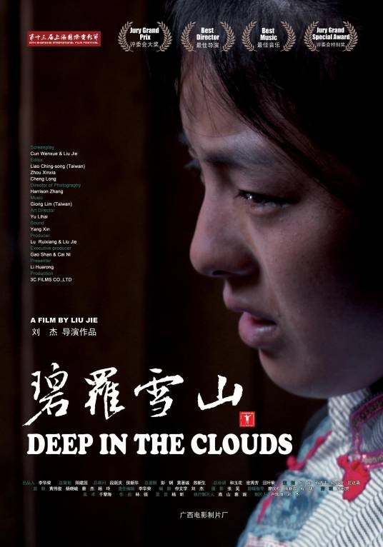 碧罗雪山(2010年刘杰执导电影)