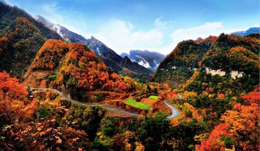 米仓山（位于陕西、甘肃、四川边境的山脉）