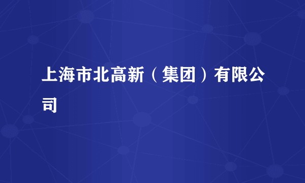 上海市北高新（集团）有限公司