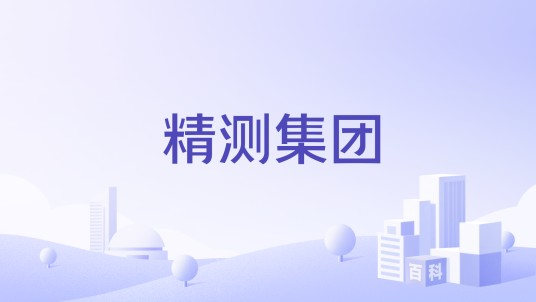 精测集团
