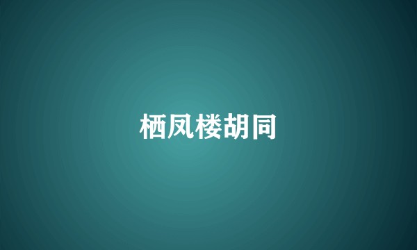 栖凤楼胡同