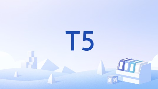 T5（游戏术语）