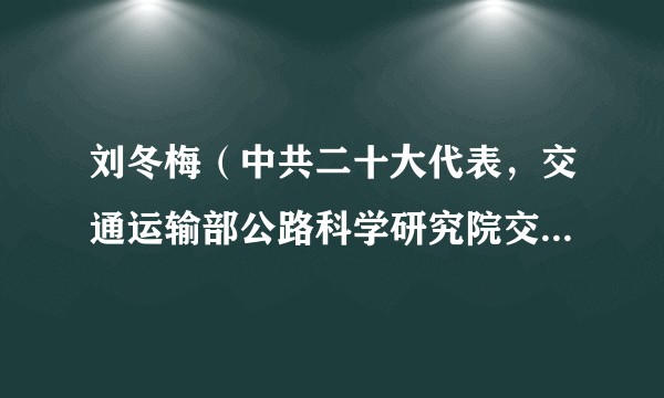 刘冬梅（中共二十大代表，交通运输部公路科学研究院交通大数据创新团队负责人）