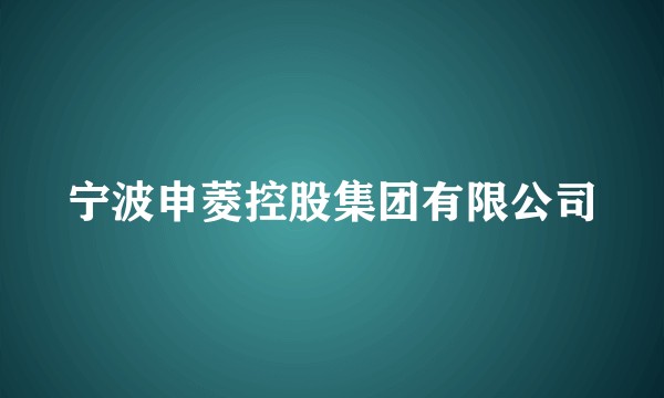 宁波申菱控股集团有限公司