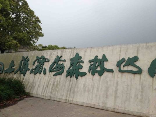上海滨海森林公园