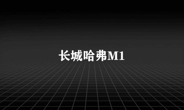 长城哈弗M1