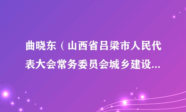 曲晓东（山西省吕梁市人民代表大会常务委员会城乡建设与环境资源保护工作委员会主任）