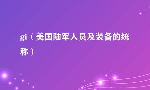 gi（美国陆军人员及装备的统称）