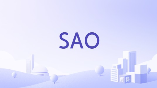 SAO(援助组织)
