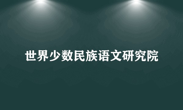 世界少数民族语文研究院