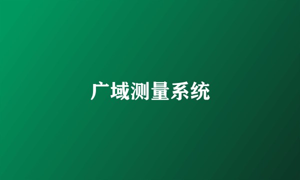 广域测量系统