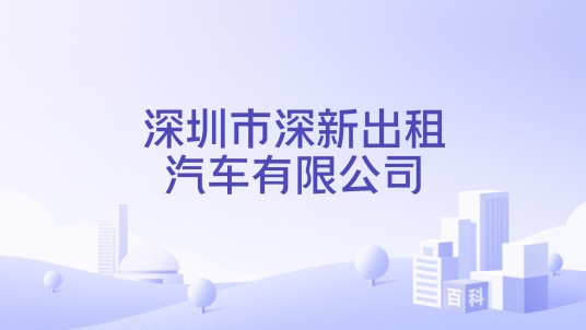 深圳市深新出租汽车有限公司