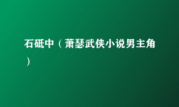 石砥中（萧瑟武侠小说男主角）