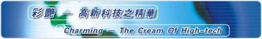 广东彩艳股份有限公司