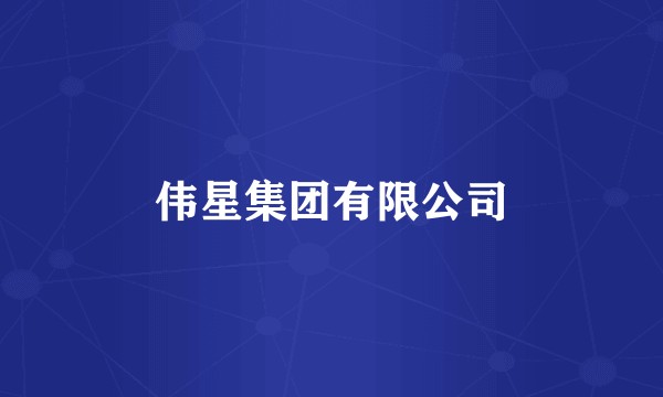 伟星集团有限公司