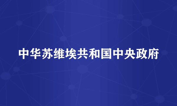 中华苏维埃共和国中央政府