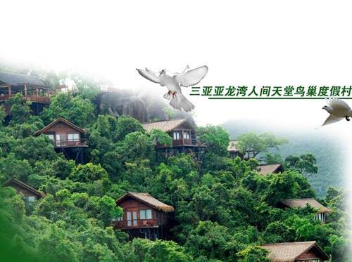 亚龙湾人间天堂鸟巢度假村