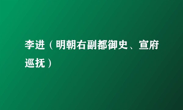 李进（明朝右副都御史、宣府巡抚）