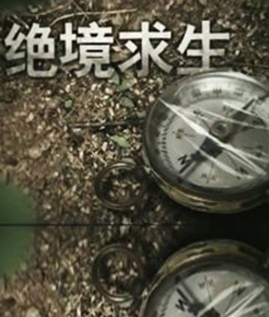 绝境求生(国企改革纪录片)