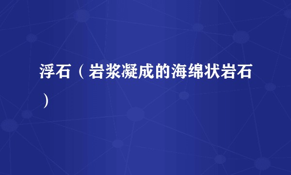浮石（岩浆凝成的海绵状岩石）