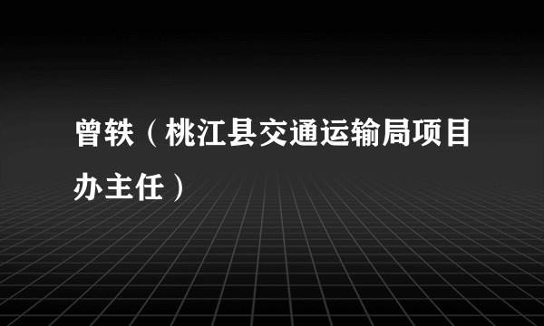 曾轶（桃江县交通运输局项目办主任）