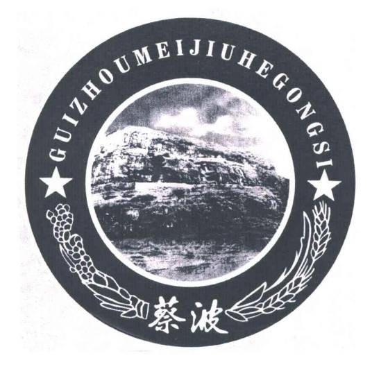 蔡波(中国武汉大学国家网络安全学院副教授)