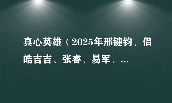 真心英雄（2025年邢键钧、侣皓吉吉、张睿、易军、金琛、费聿竹、刘家成执导的政法题材剧）
