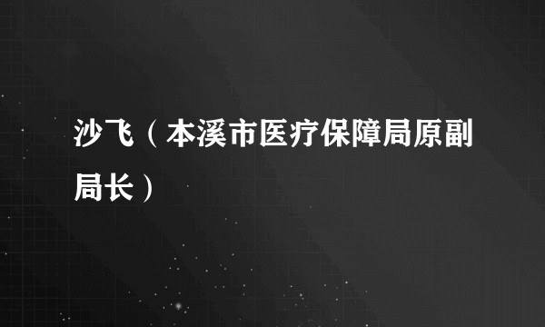 沙飞（本溪市医疗保障局原副局长）