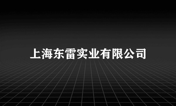 上海东雷实业有限公司