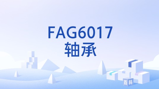 FAG6017轴承