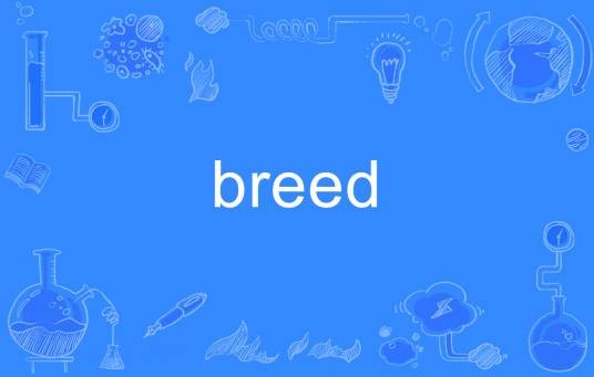 breed（英语单词）