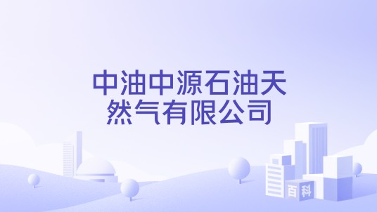中油中源石油天然气有限公司