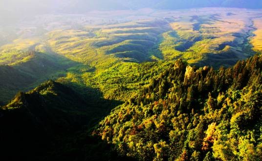 黑茶山