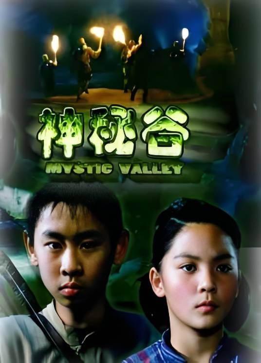 神秘谷(2006年郑宁执导的剧情电影)