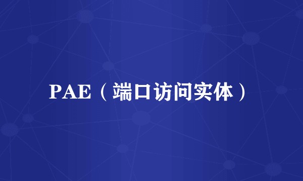 PAE（端口访问实体）