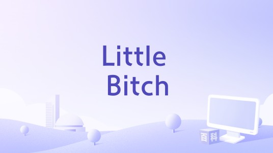 Little Bitch