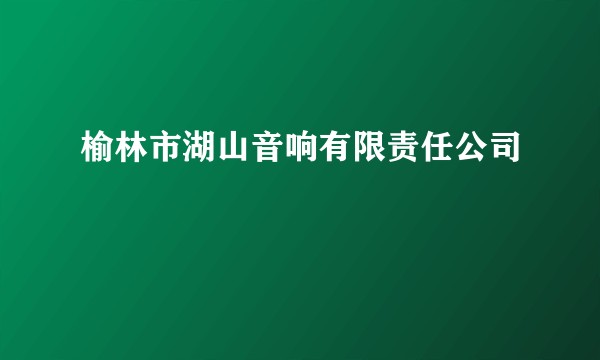 榆林市湖山音响有限责任公司