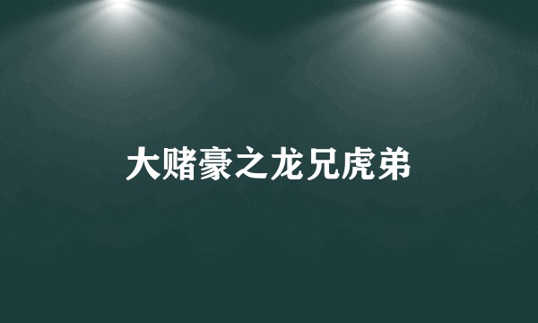 大赌豪之龙兄虎弟