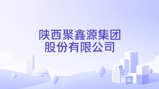 陕西聚鑫源集团股份有限公司