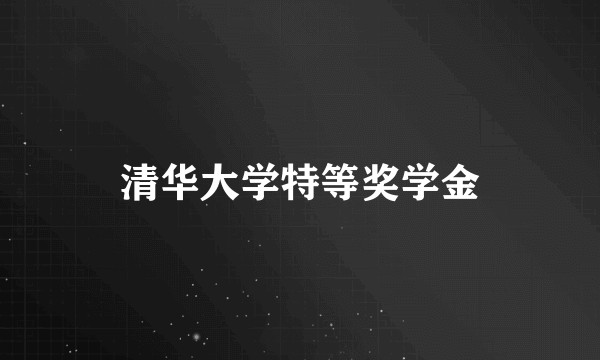 清华大学特等奖学金
