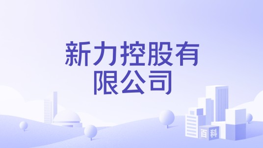 新力控股有限公司