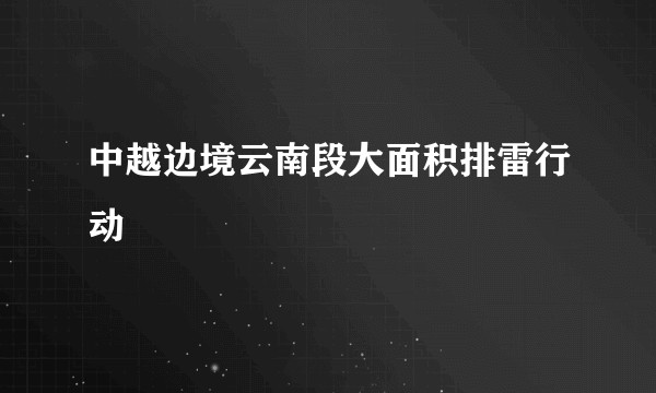 中越边境云南段大面积排雷行动