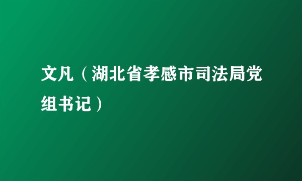 文凡（湖北省孝感市司法局党组书记）