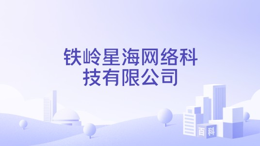 铁岭星海网络科技有限公司